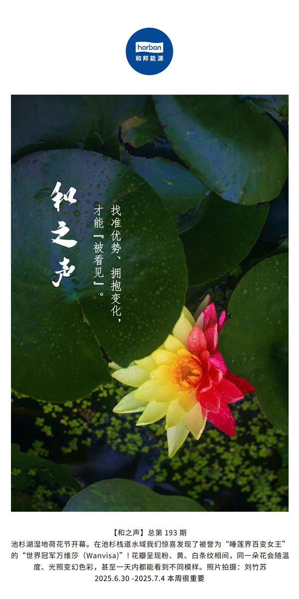 【和之声】找准优势、拥抱变动，能力“被看见”。(总第193期）--2025.6中文导出季度推送用.jpg