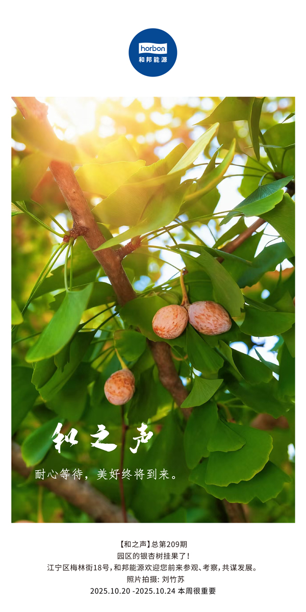 【和之声】耐心期待，美好终将到来。-(总第209期）2025.10.20中文导出季度推送用.jpg